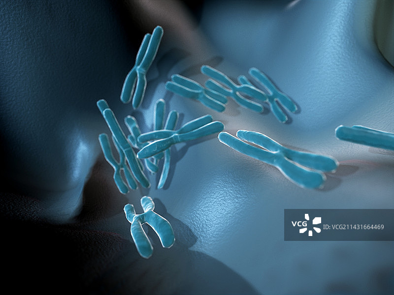 染色体电脑图图片素材