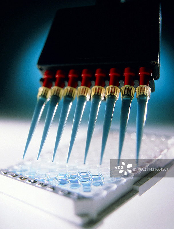 疾病抗体ELISA血液检测图片素材