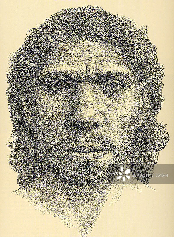 海德堡人男性图片素材