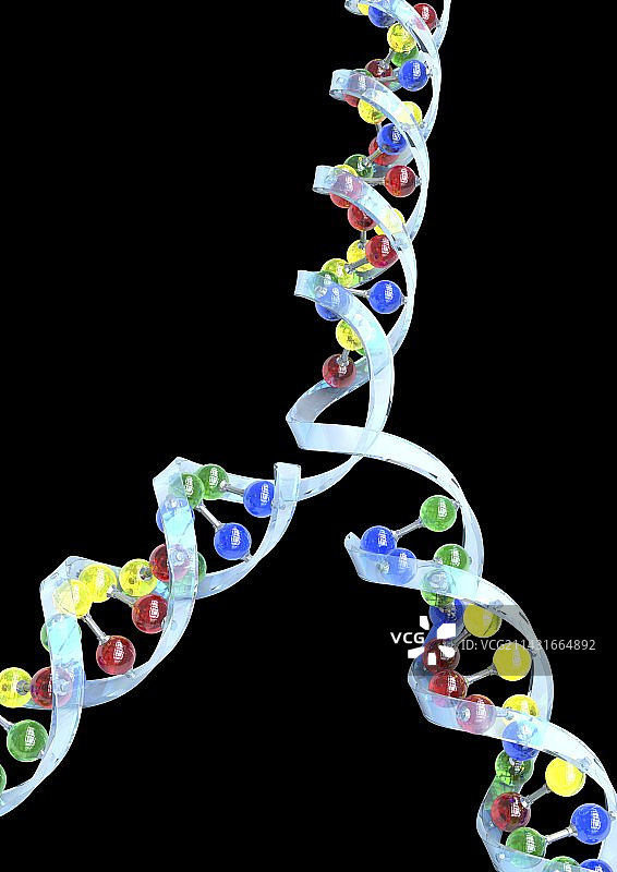 DNA复制图片素材