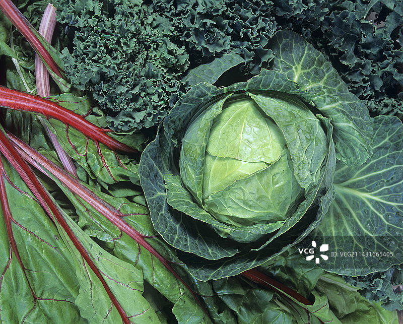 绿色叶类蔬菜图片素材