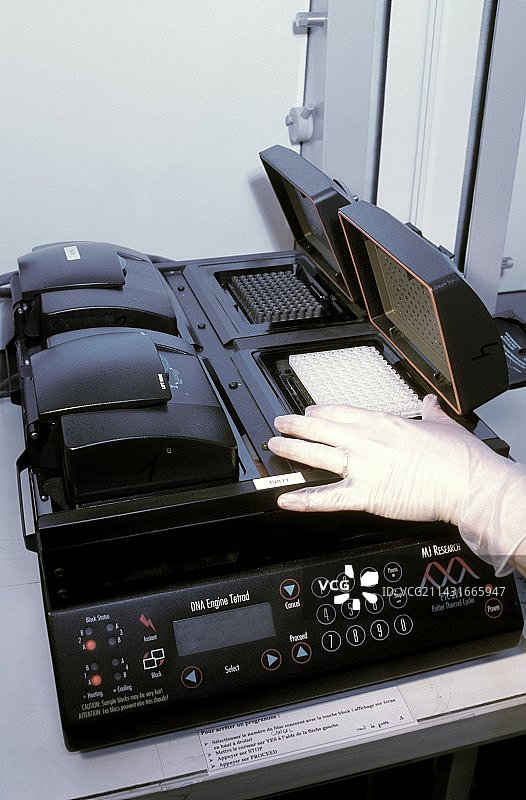 PCR基因分析图片素材