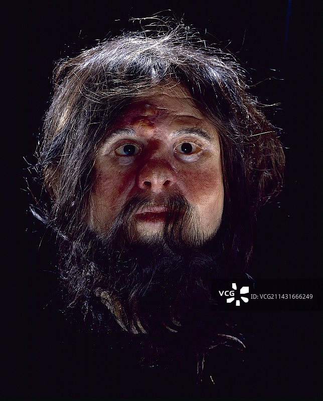 切达人重建图片素材