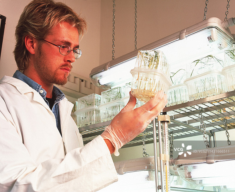 生物技术研究图片素材