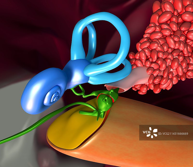 耳朵艺术作品图片素材