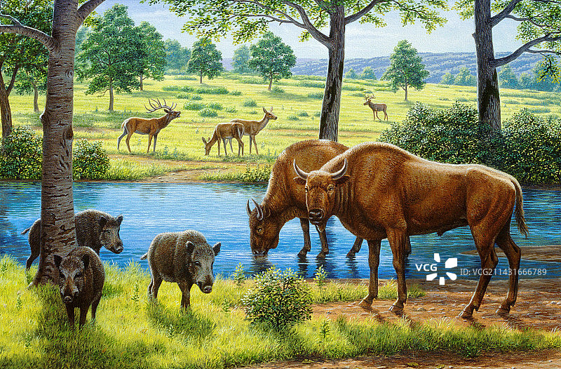 更新世时代的野生动物图片素材