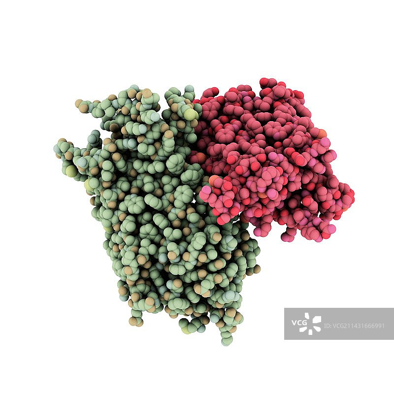 视紫红质分子图片素材