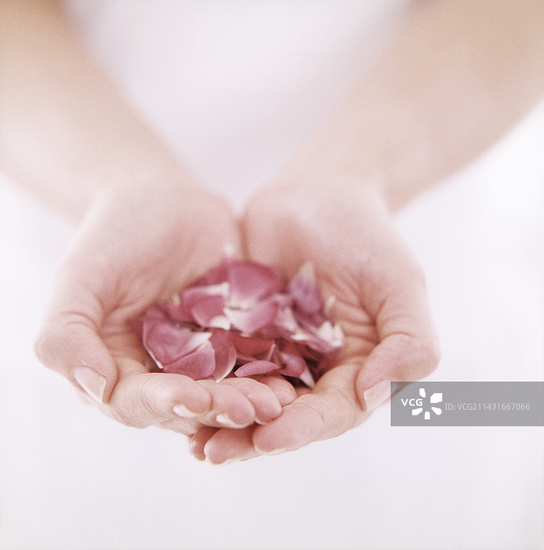 手捧花瓣图片素材