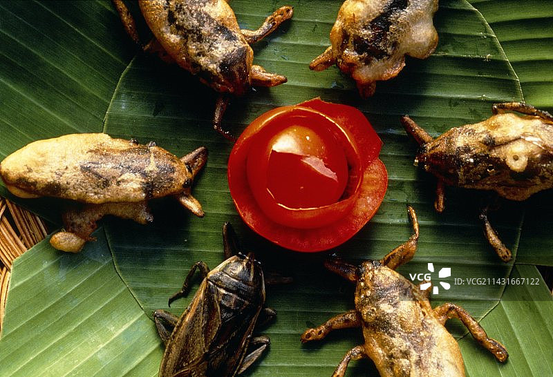 炸大田鳖图片素材