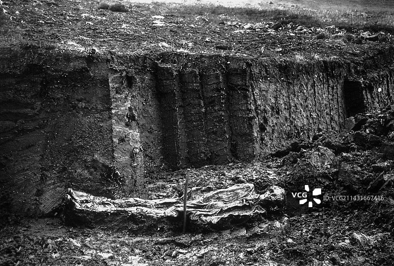 1896年发现的身份不明的沼泽遗骸挖掘图片素材