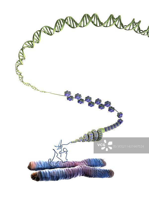 DNA包装艺术作品图片素材