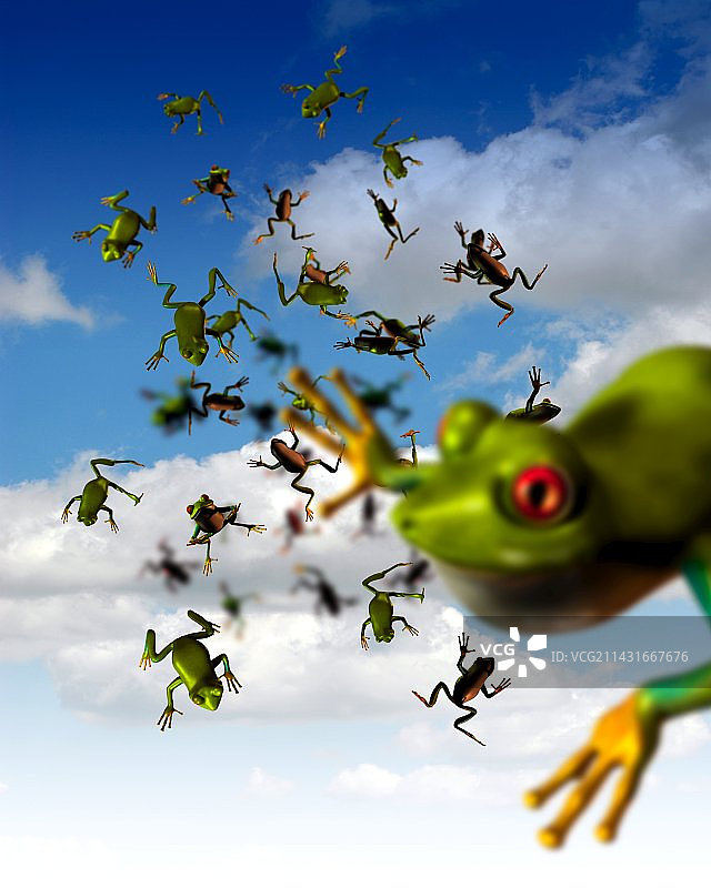 青蛙雨艺术作品图片素材