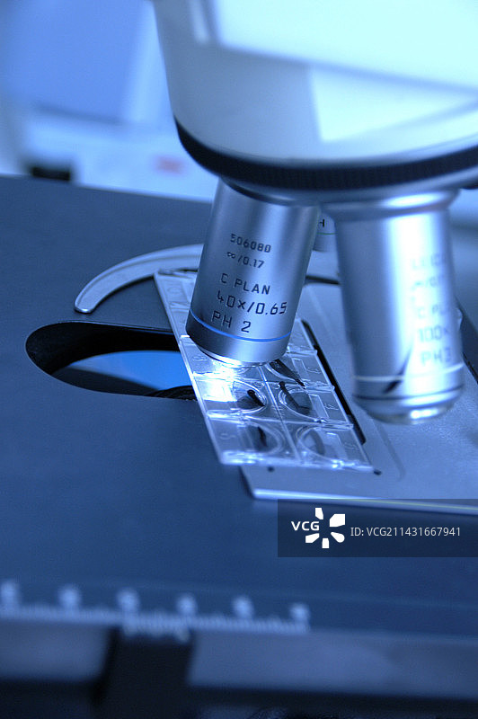 体外受精的精子选择图片素材