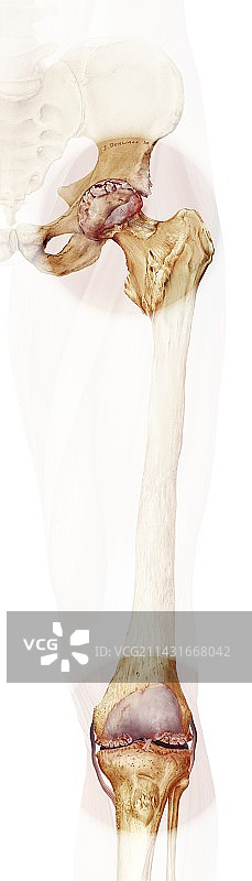 骨骼死亡艺术作品图片素材