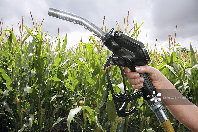 玉米生物燃料概念图图片素材