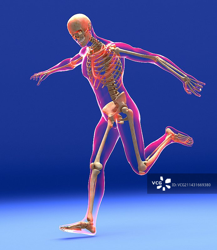 足球踢球，骨骼艺术作品图片素材