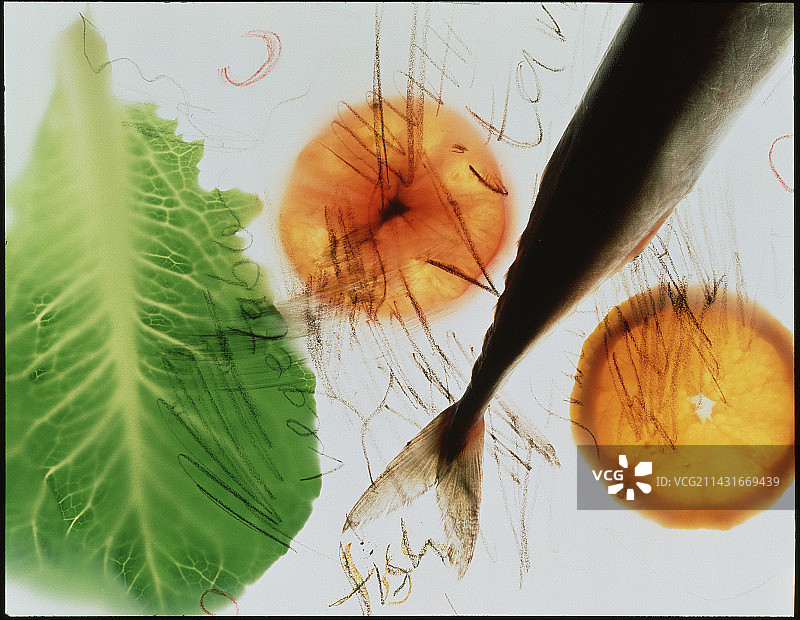 维生素、鱼、橘子和生菜的抽象图片素材