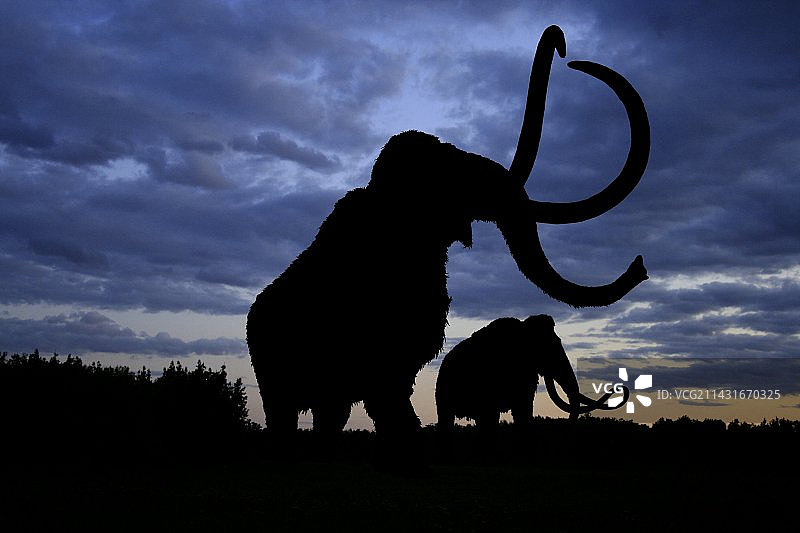 原始猛犸象图片素材