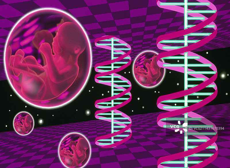 胎儿和DNA的抽象艺术作品图片素材