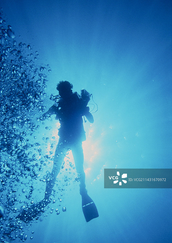 在红海手持相机的潜水员图片素材