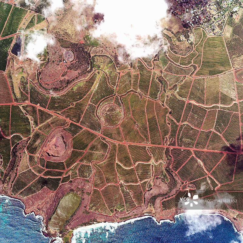 夏威夷咖啡种植园图片素材