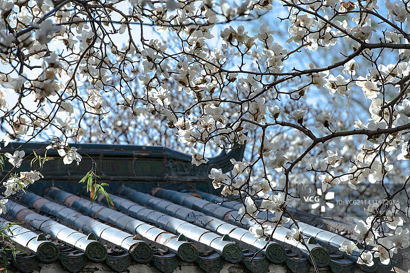 青砖玉雪图片素材