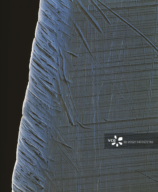 刀片扫描电镜图图片素材