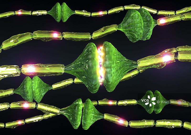 突触，艺术作品图片素材