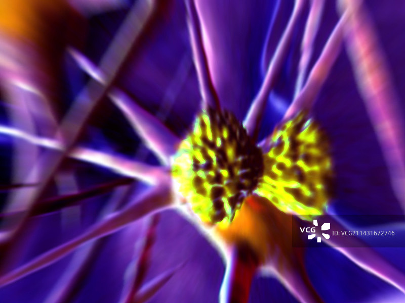 脑肿瘤图片素材