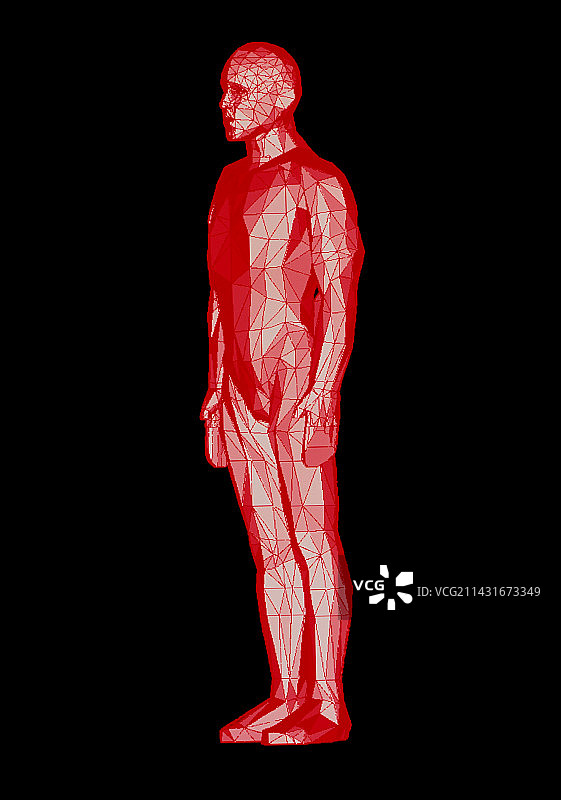 站立人形电脑图像（倾斜视角）图片素材