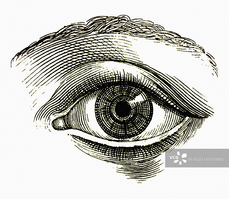 睁开的眼睛图片素材