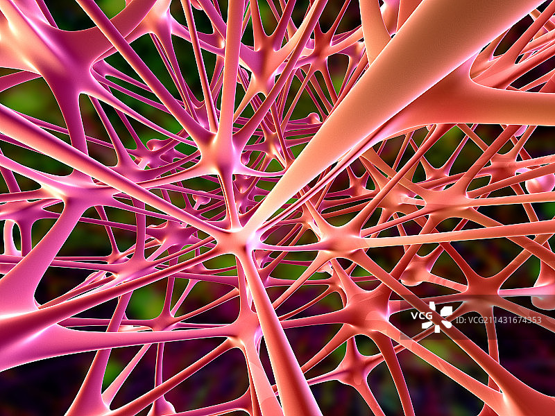 神经细胞图片素材