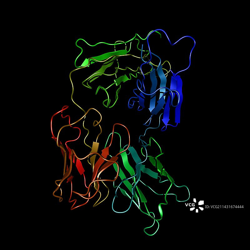 阿仑单抗抗体分子图片素材