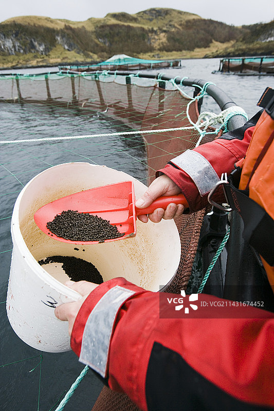 三文鱼养殖食品图片素材