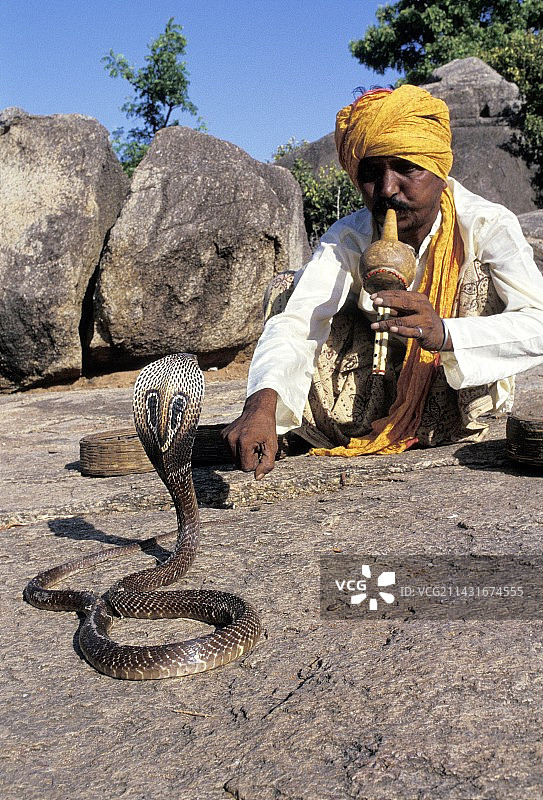 耍蛇人图片素材