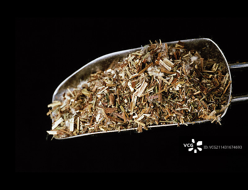 柳树皮图片素材