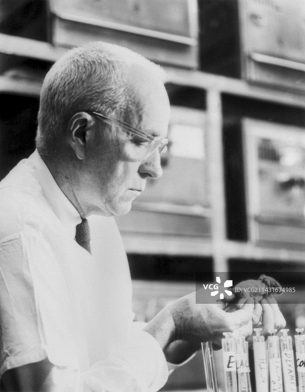 查尔斯·哈金斯，加拿大裔美国生理学家图片素材