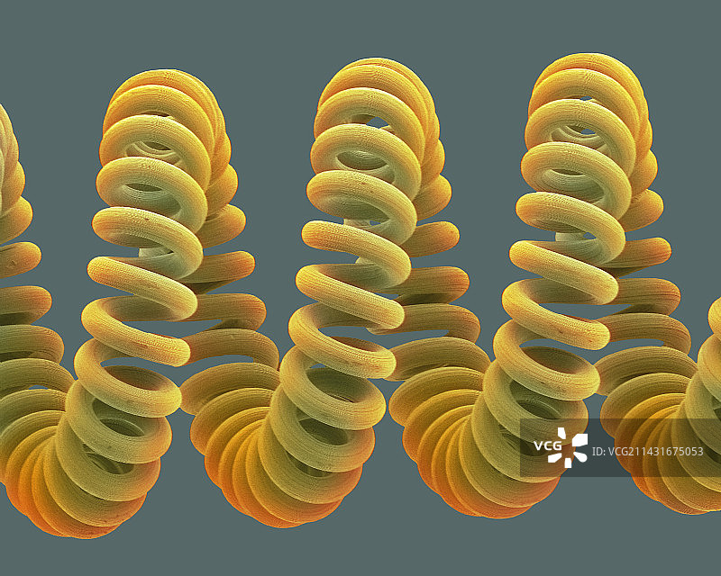 灯泡灯丝扫描电镜图图片素材