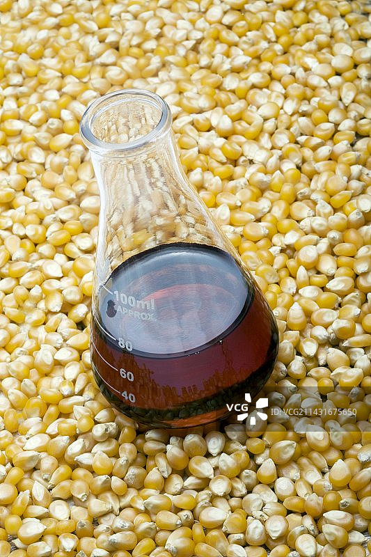 利用玉米生产生物燃料图片素材