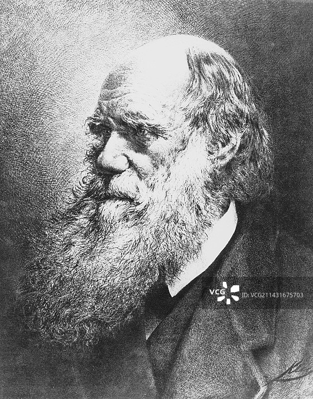 老年时的查尔斯·达尔文图片素材