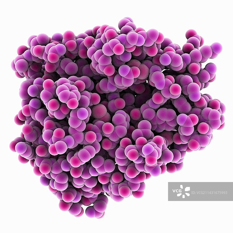 胰蛋白酶分子图片素材