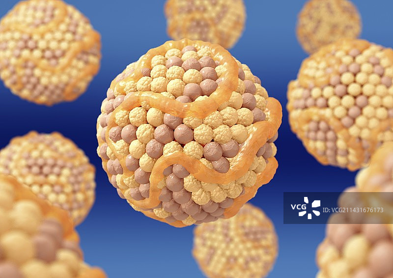 高胆固醇水平图片素材