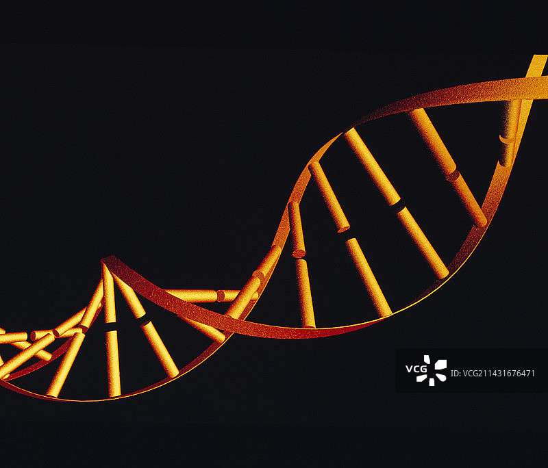 DNA分子图片素材