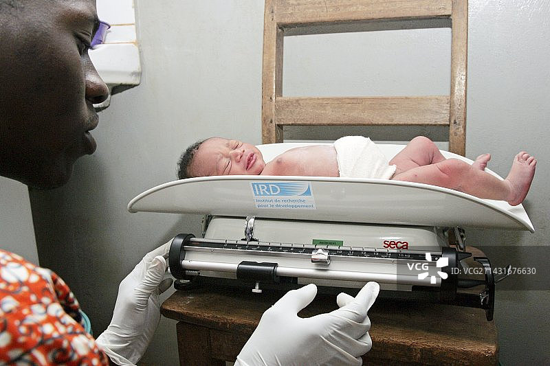 非洲疟疾研究图片素材