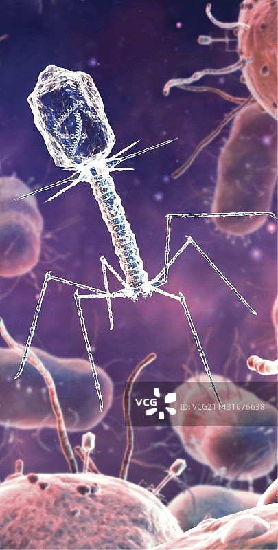 T4噬菌体艺术图图片素材