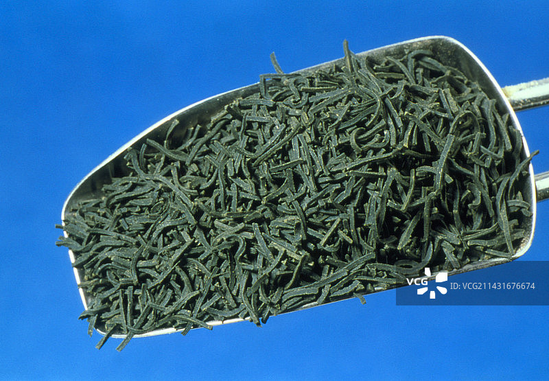 红茶茶图片素材