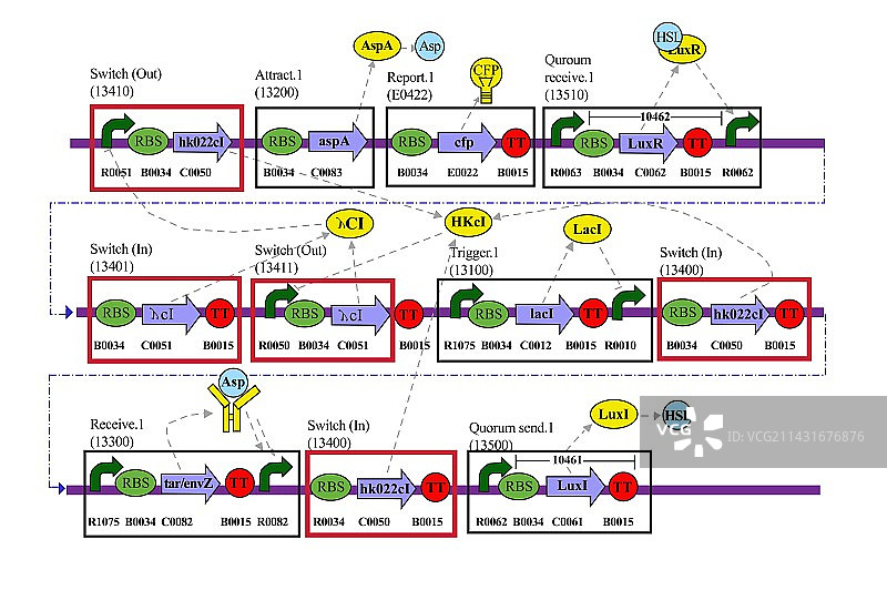 基因电路图图片素材