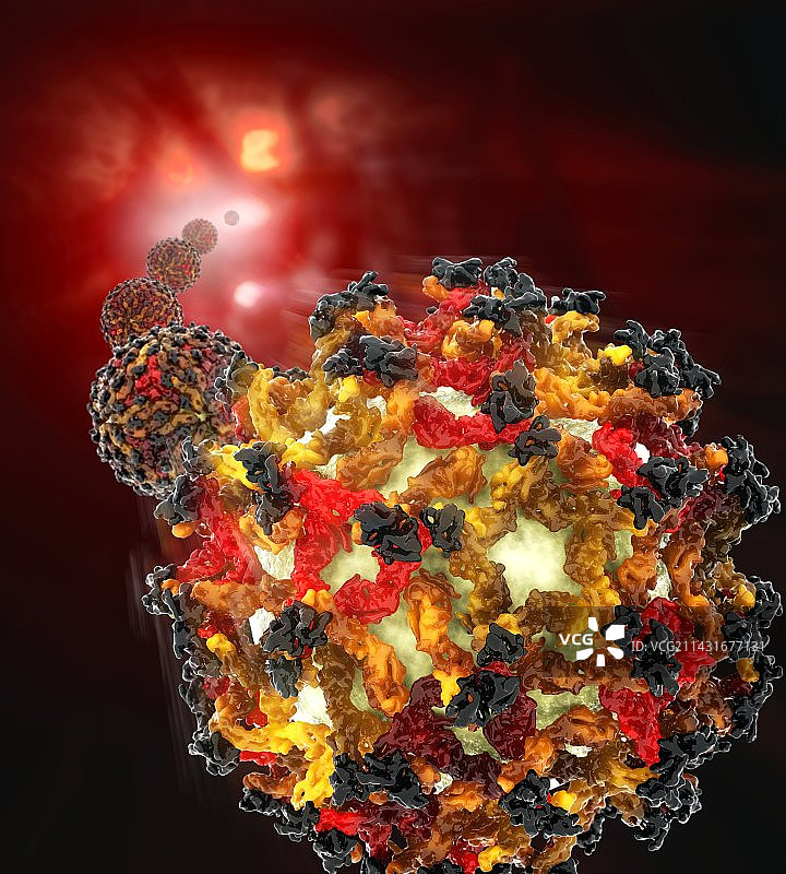 登革病毒颗粒分子模型图片素材