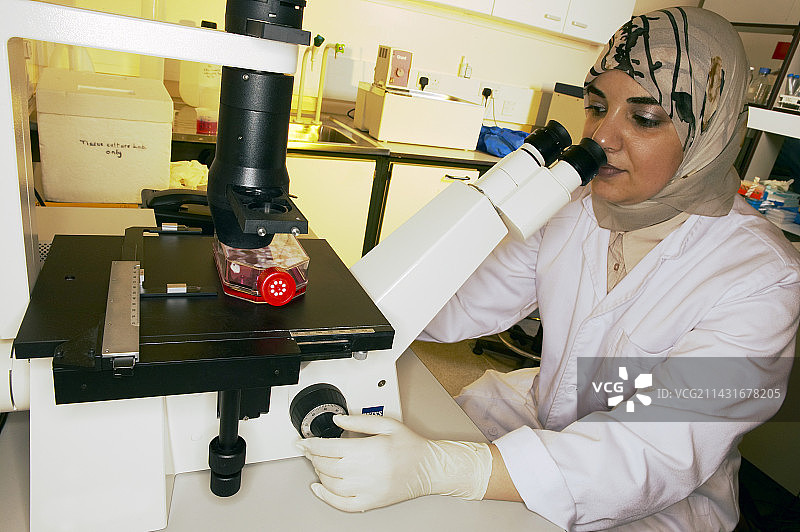 阿尔茨海默病研究图片素材