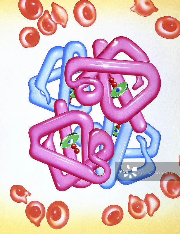 缺铁性贫血细胞和血红蛋白分子图片素材